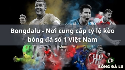 Bongdalu vip: Nền tảng thông tin bóng đá bongdalu-vip.com